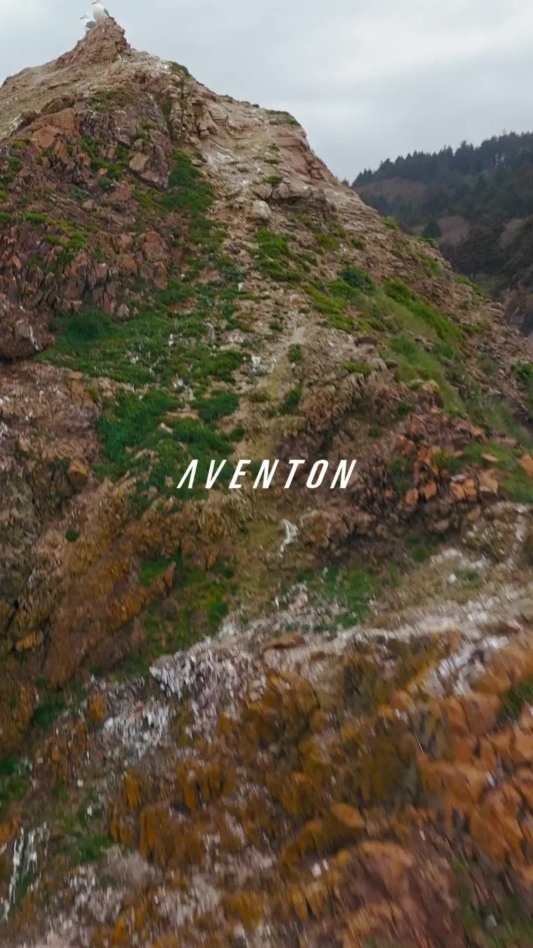🚨 Just Landed: The Aventon Aventure 3 🚨

Built for riders who don't shy away from dirt, hills, or long days in the saddle. With all-new tech and signature fat-tire power, the Aventure 3 is ready for anything.

Stop by Synaptic Cycles to check it out in person.