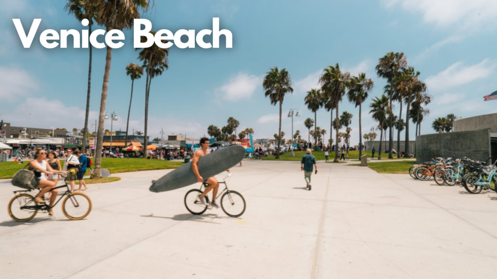 venice beach, california, lots of palm trees, blue sky, multiple bikers, 2 bikers with surfboards in arms crossing bike path